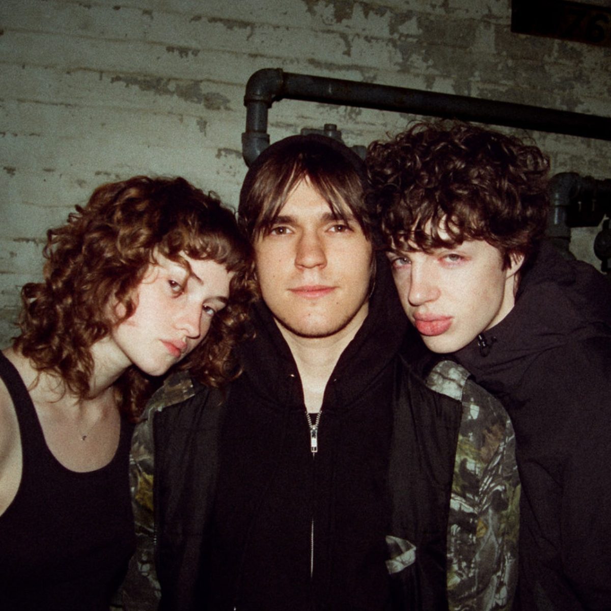 Abalone, band portrait